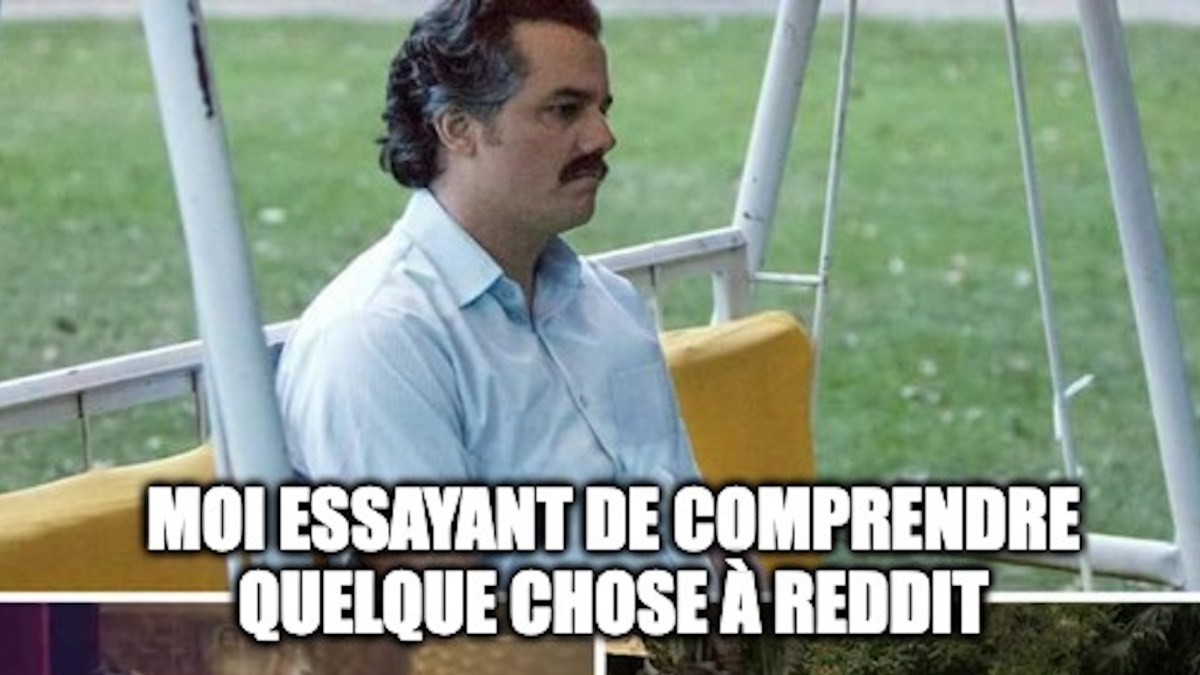 Pour comprendre le monde de Reddit, il faut connaitre quelques termes importants. // Source : Montage Numerama. Pour comprendre le monde de Reddit, il faut connaitre quelques termes importants. // Source : Montage Numerama.