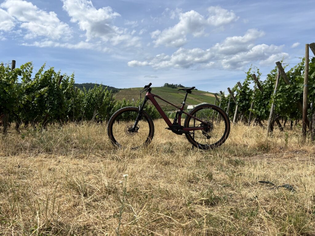 Un VTT équipé d'un Bosch Performance CX // Source : Julien Cadot pour Numerama Un VTT équipé d'un Bosch Performance CX // Source : Julien Cadot pour Numerama