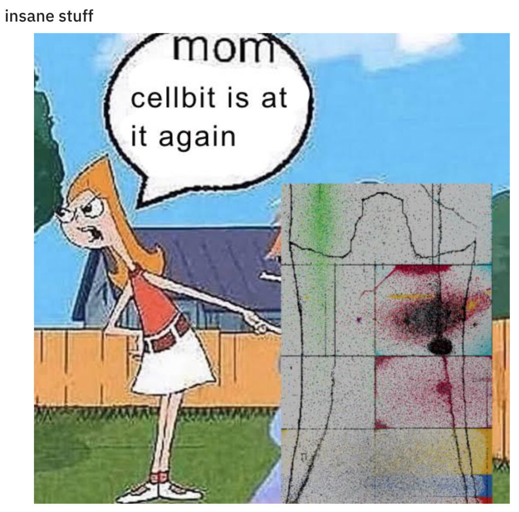 Maman, Cellbits recommence ! // Source : Reddit Maman, Cellbits recommence ! // Source : Reddit