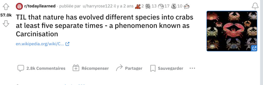« Aujourd'hui j'ai appris que la nature avait transformé des espèces différentes en crabes au moins cinq fois - un phénomène connu sous le nom de carcinisation. » // Source : Reddit « Aujourd'hui j'ai appris que la nature avait transformé des espèces différentes en crabes au moins cinq fois - un phénomène connu sous le nom de carcinisation. » // Source : Reddit