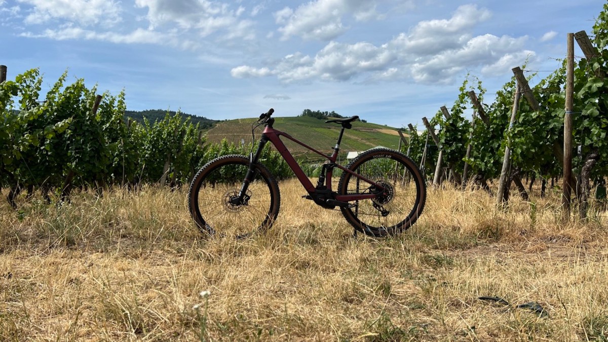 Un VTT équipé d'un Bosch Performance CX // Source : Julien Cadot / Numerama Un VTT équipé d'un Bosch Performance CX // Source : Julien Cadot / Numerama