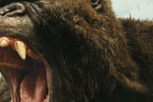 Kong : Skull Island // Source : Warner Bros.