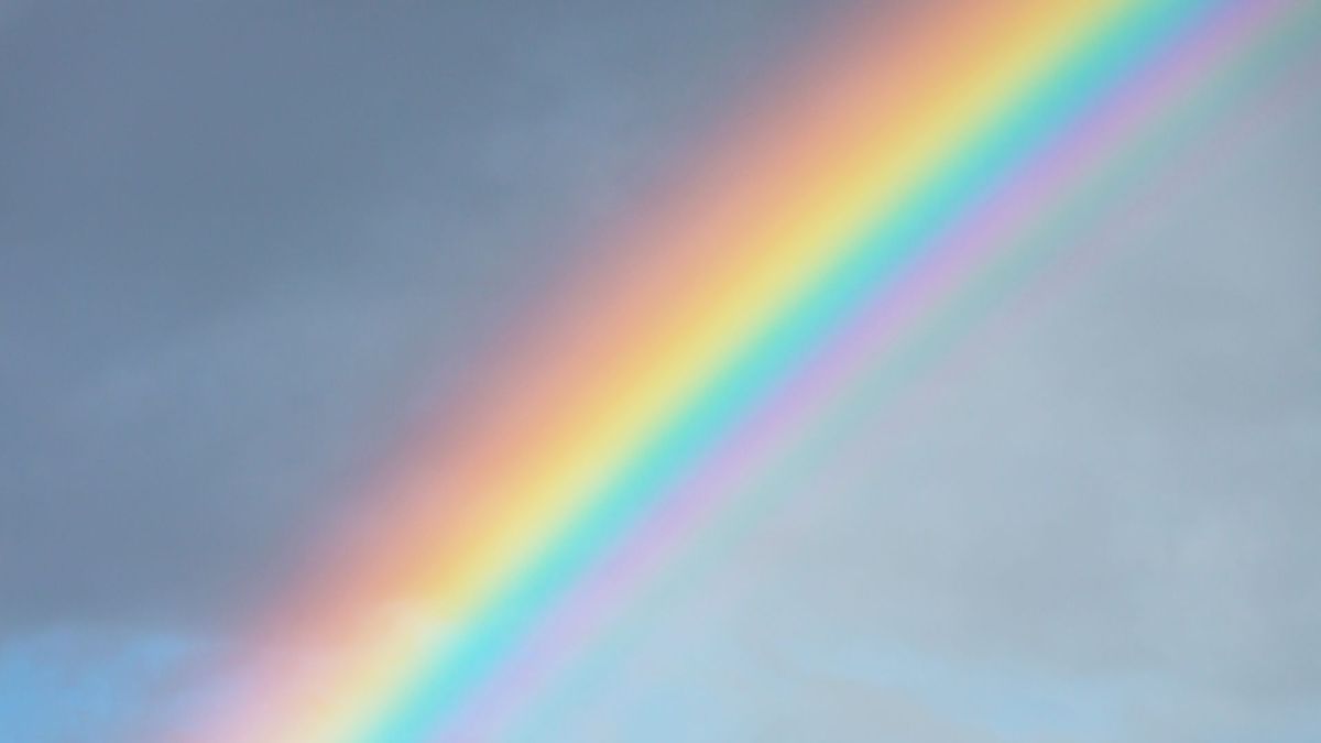 Un arc-en-ciel. // Source : Canva Un arc-en-ciel. // Source : Canva