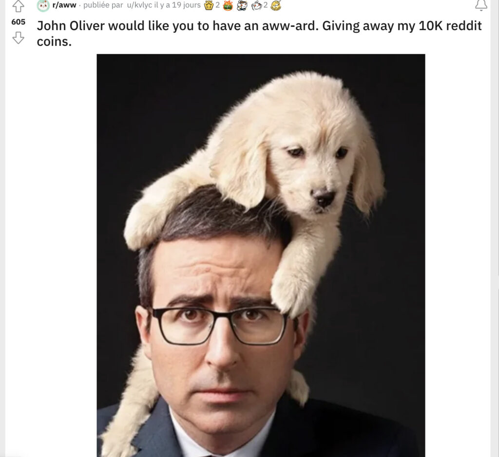 Jusqu'à début août, John Oliver était partout sur r/aww. // Source : Reddit. Capture d'écran Numerama. Jusqu'à début août, John Oliver était partout sur r/aww. // Source : Reddit. Capture d'écran Numerama.