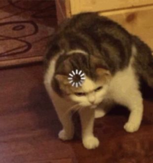 Http Cat // Source : Http Cat Http Cat // Source : Http Cat