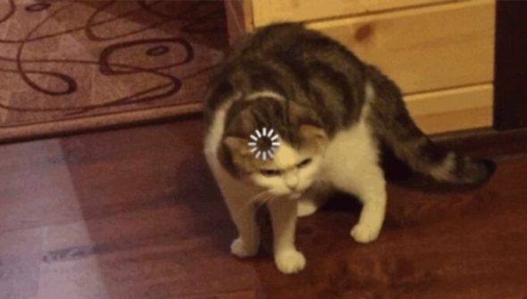 Http Cat // Source : Http Cat Http Cat // Source : Http Cat