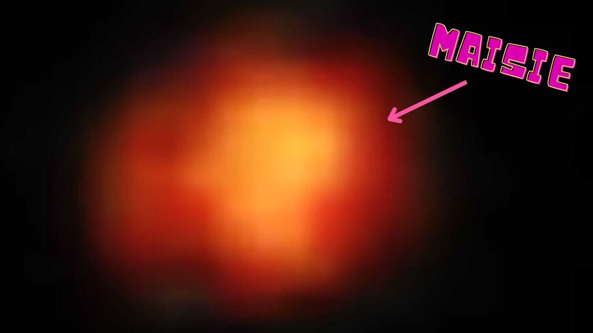 Galaxie de Maisie // Source : NASA/STScI/CEERS/TACC/The University of Texas at Austin/S. Finkelstein/M. Bagley. Galaxie de Maisie // Source : NASA/STScI/CEERS/TACC/The University of Texas at Austin/S. Finkelstein/M. Bagley.