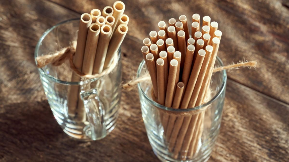 Pailles en papier // Source : Canva Pailles en papier // Source : Canva
