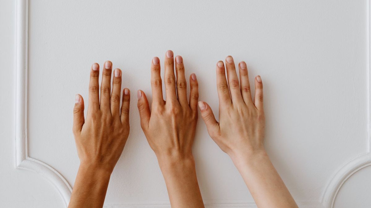 La peau est constituée de 3 compartiments. // Source : Canva La peau est constituée de 3 compartiments. // Source : Canva