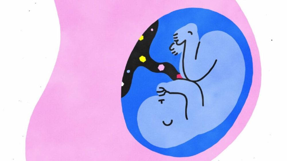 Le sexe en bref // Source : Netflix Le sexe en bref // Source : Netflix