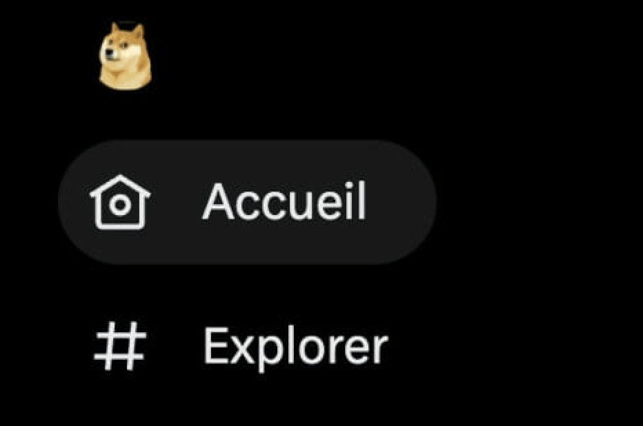 Le logo de Twitter avait été remplacé par le logo Doge // Source : Capture d'écran Numerama Le logo de Twitter avait été remplacé par le logo Doge // Source : Capture d'écran Numerama