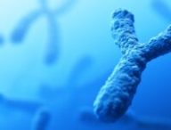 Chromosome Y. // Source : Canva