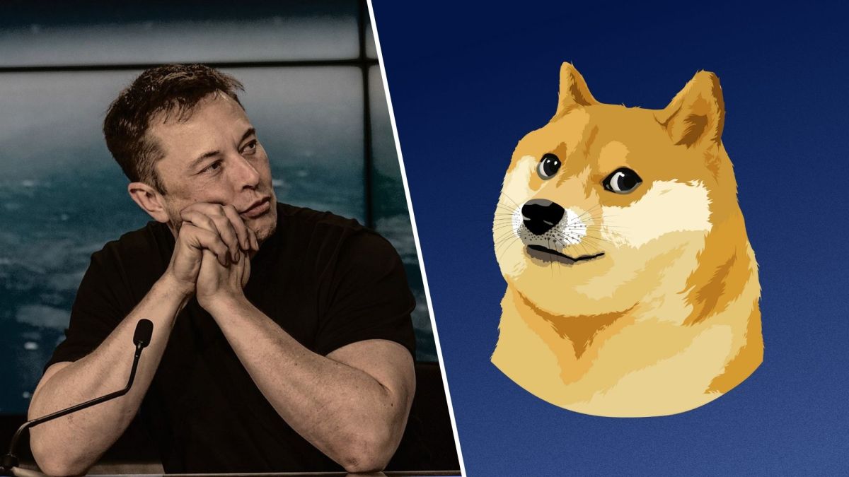 Elon Musk et le Dogecoin // Source : Montage Numerama / Photo : Wikimedia Commons Elon Musk et le Dogecoin // Source : Montage Numerama / Photo : Wikimedia Commons