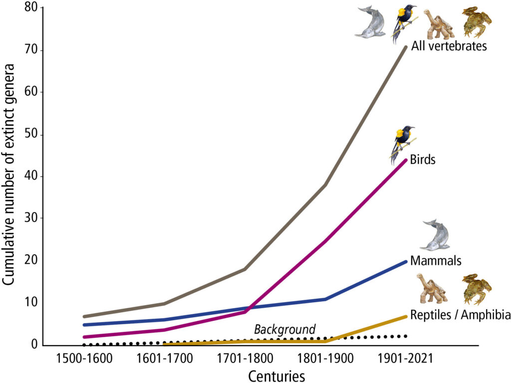 Taux de disparition des genres de vertébrés. // Source : PNAS/sept2023/Gerardo Ceballos, Paul R. Ehrlich Taux de disparition des genres de vertébrés. // Source : PNAS/sept2023/Gerardo Ceballos, Paul R. Ehrlich