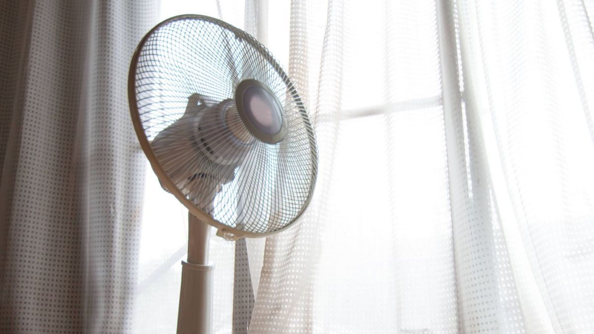 Un ventilateur. // Source : Canva Un ventilateur. // Source : Canva