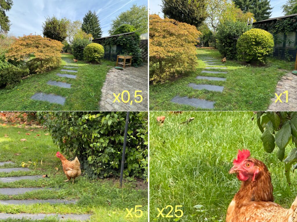 Le zoom x25 sur la poule n'est pas bon quand on regarde les détails, mais le x5 s'en sort une nouvelle fois super bien. Le zoom x25 sur la poule n'est pas bon quand on regarde les détails, mais le x5 s'en sort une nouvelle fois super bien.