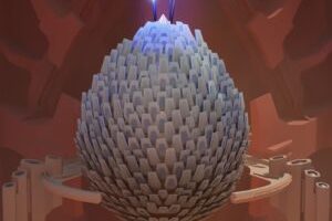 cocoon-fiche-produit cocoon-fiche-produit