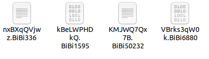 Des documents devenus inutilisables après le passage de BibiLinux. // Source : Security Joes Des documents devenus inutilisables après le passage de BibiLinux. // Source : Security Joes