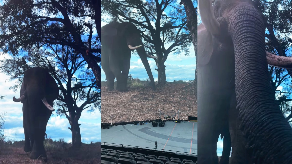 Source : darren aronofsky sur instagram Source : darren aronofsky sur instagram