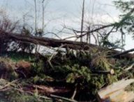 Dégâts de la tempête Martin en Dordogne, 1999. // Source : Wikimedia/CC/Traumrune (photo recadrée) Dégâts de la tempête Martin en Dordogne, 1999. // Source : Wikimedia/CC/Traumrune (photo recadrée)