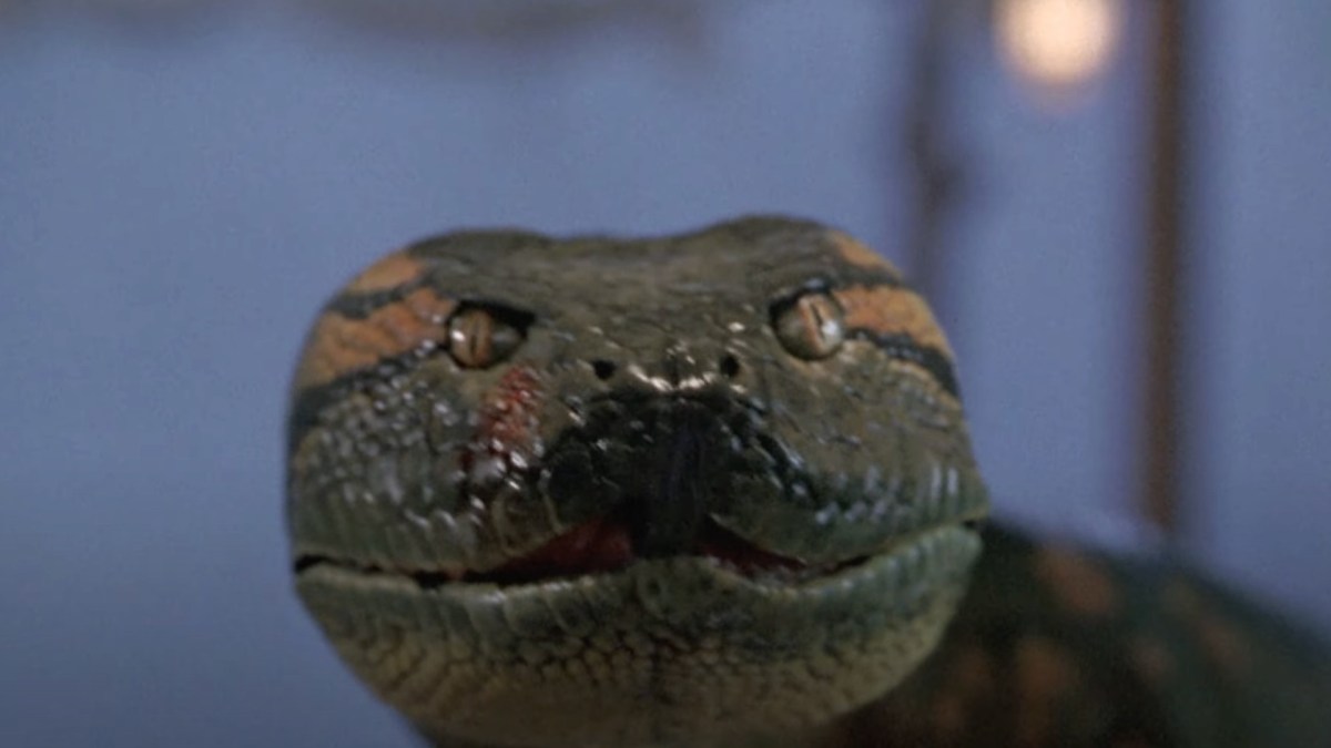 Le film Anaconda // Source : Capture YouTube Le film Anaconda // Source : Capture YouTube