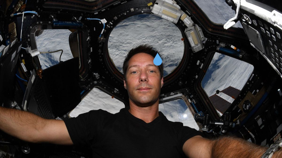 Thomas Pesquet dans l'ISS. // Source : ESA/NASA/T.Pesquet, 2021 ; modifié avec Canva Thomas Pesquet dans l'ISS. // Source : ESA/NASA/T.Pesquet, 2021 ; modifié avec Canva