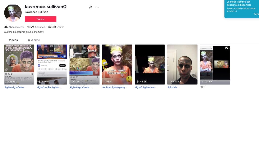 Le compte TikTok du Miami Joker // Source : Capture d'écran Le compte TikTok du Miami Joker // Source : Capture d'écran