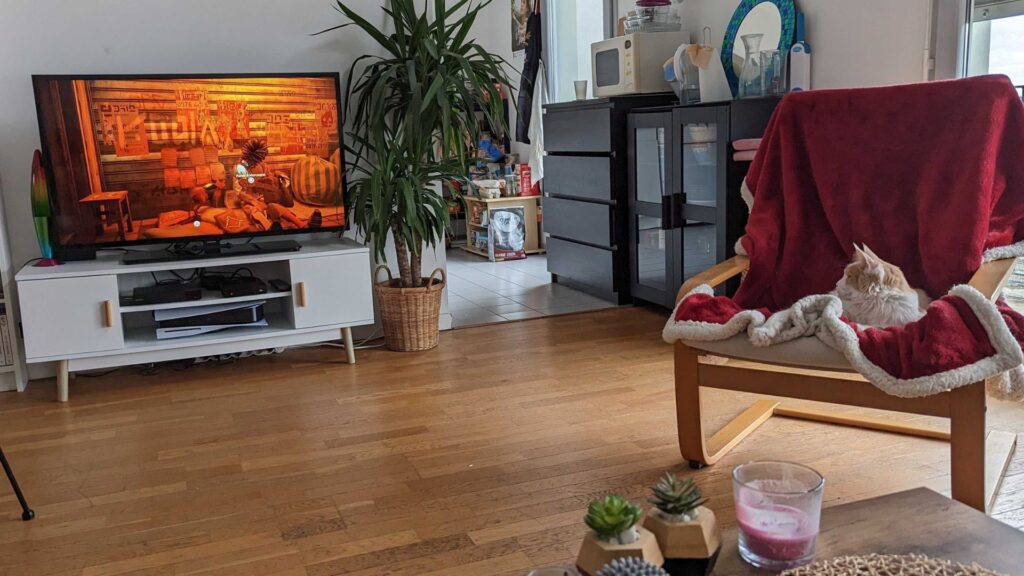 Le chat de Nino devant Stray. // Source : Nino Le chat de Nino devant Stray. // Source : Nino