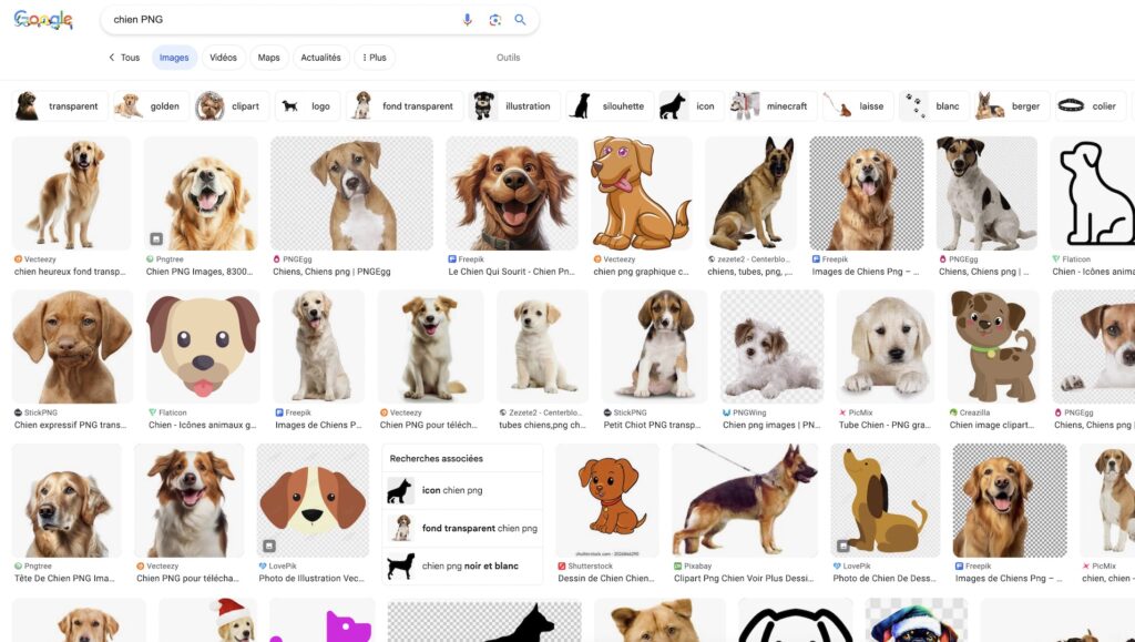 La page de résultats lorsque l'on tape "chiens PNG" sur Google. Cette capture d'écran, en revanche, est un JPEG, car les PNG c'est super lourd dans notre back-office. La page de résultats lorsque l'on tape "chiens PNG" sur Google. Cette capture d'écran, en revanche, est un JPEG, car les PNG c'est super lourd dans notre back-office.