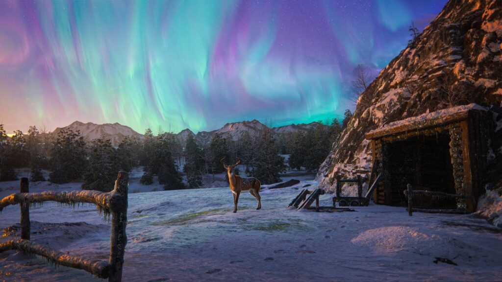 storyx_x_artwork_winter storyx_x_artwork_winter