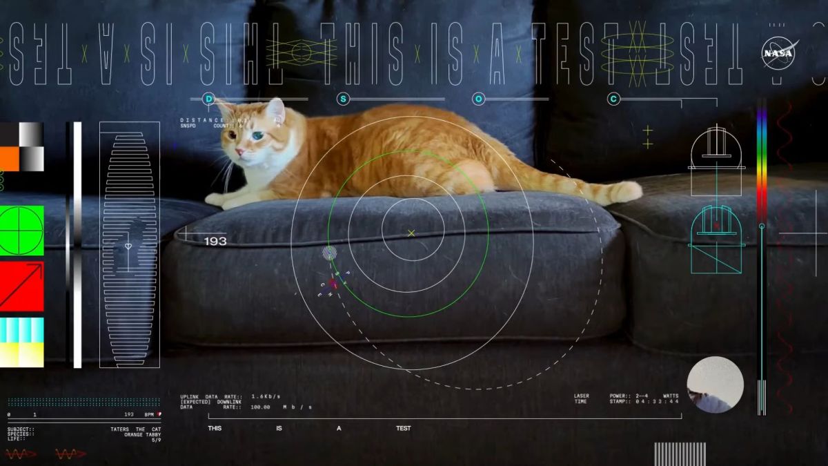 La vidéo du chat Taters. // Source : Capture d'écran YouTube JPL La vidéo du chat Taters. // Source : Capture d'écran YouTube JPL
