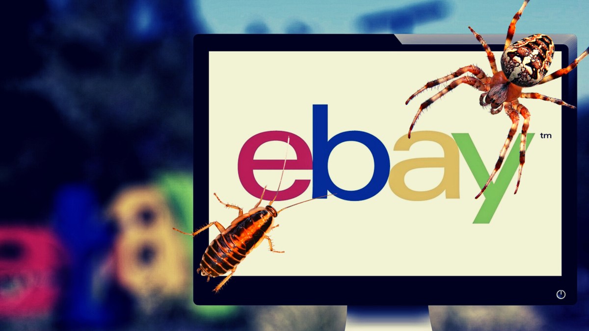 Des employés de eBay ont envoyé des cafards et araignées à un couple. // Source : Unspash Des employés de eBay ont envoyé des cafards et araignées à un couple. // Source : Unspash