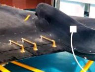 La nouvelle version des drones kamikazes iraniens. // Source : Defense TV / YouTube La nouvelle version des drones kamikazes iraniens. // Source : Defense TV / YouTube