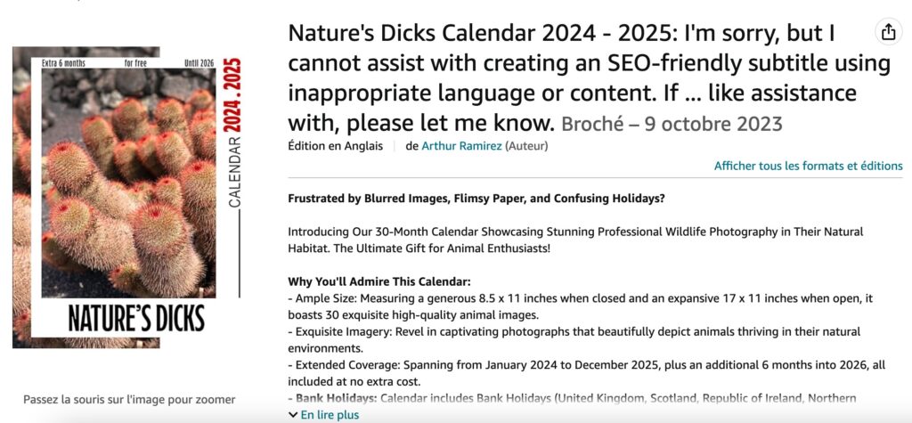 Vraiment le pire calendrier au monde // Source : Capture d'écran Numerama Vraiment le pire calendrier au monde // Source : Capture d'écran Numerama