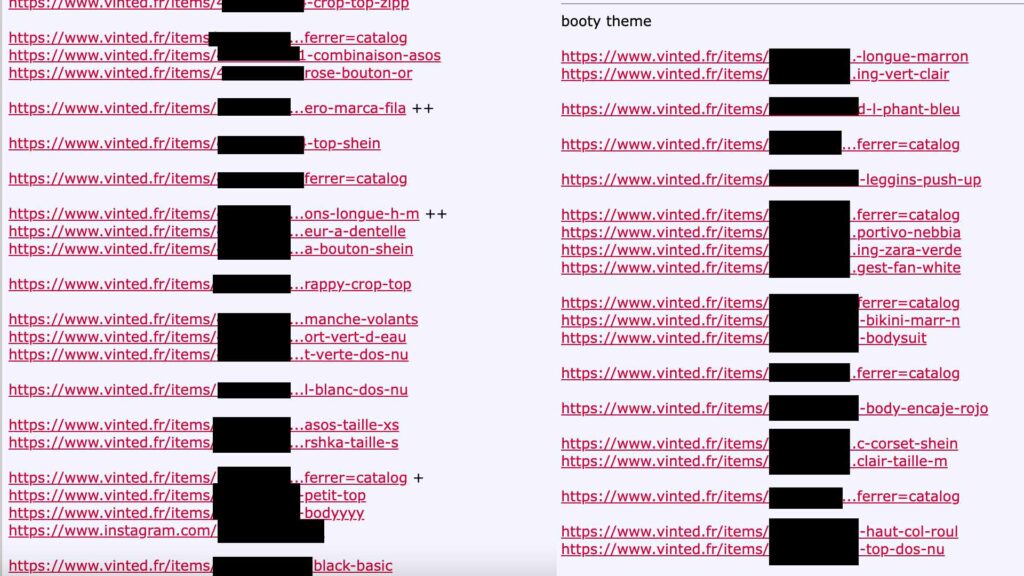 Des exemples de profils Vinted partagés sur des forums voyeuristes // Source : Capture d'écran et montage Numerama Des exemples de profils Vinted partagés sur des forums voyeuristes // Source : Capture d'écran et montage Numerama
