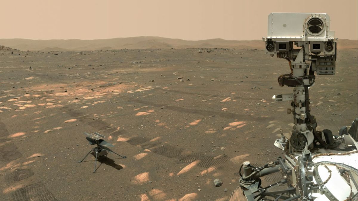 Ingenuity et Perseverance sur Mars. // Source : Via X @NASAPersevere (photo recadrée) Ingenuity et Perseverance sur Mars. // Source : Via X @NASAPersevere (photo recadrée)