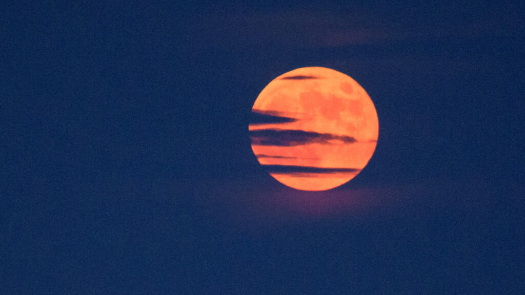 Lune Lune