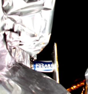 Zoom dans le selfie de Peregrine. // Source : Astrobotic Technology Zoom dans le selfie de Peregrine. // Source : Astrobotic Technology