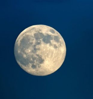 Pleine Lune. // Source : Canva Pleine Lune. // Source : Canva