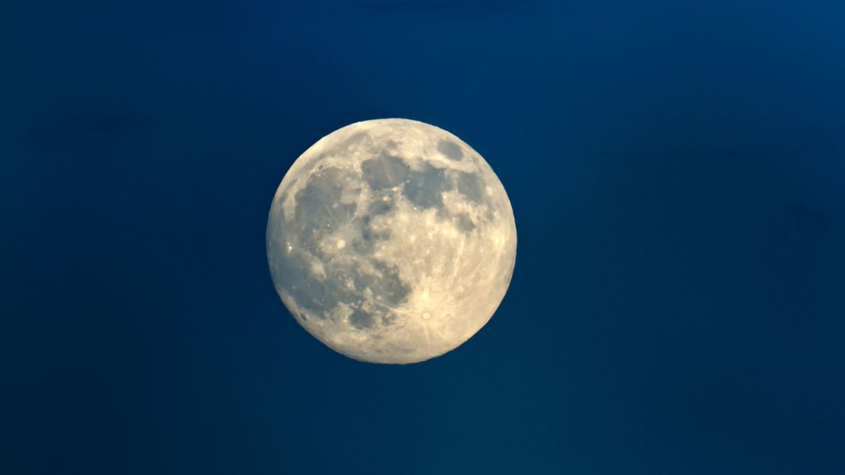 Pleine Lune. // Source : Canva Pleine Lune. // Source : Canva