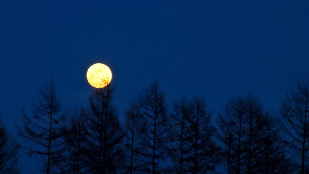 Pleine Lune. // Source : Canva Pleine Lune. // Source : Canva
