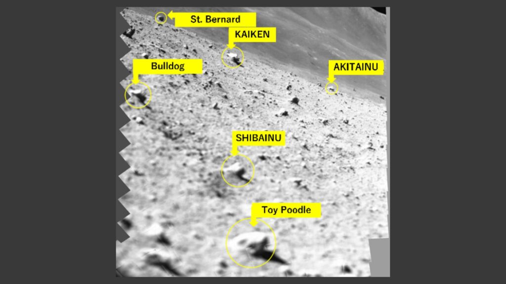 Les roches observées par SLIM, dont « Toy Poodle ». // Source : JAXA, RITSUMEIKAN UNIVERSITY, THE UNIVERSITY OF AIZU Les roches observées par SLIM, dont « Toy Poodle ». // Source : JAXA, RITSUMEIKAN UNIVERSITY, THE UNIVERSITY OF AIZU