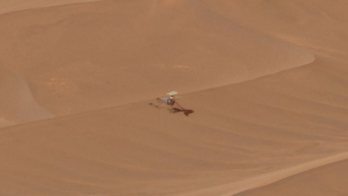 Ingenuity sur Mars. // Source : Via X @stim3on Ingenuity sur Mars. // Source : Via X @stim3on