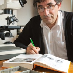 L'avatar de Laurent Palka