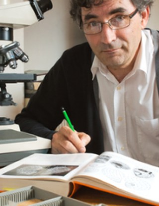 L'avatar de Laurent Palka