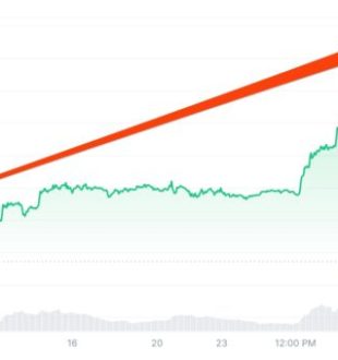 La hausse fulgurante du cours du bitcoin en un mois // Source : coinmarketcap La hausse fulgurante du cours du bitcoin en un mois // Source : coinmarketcap