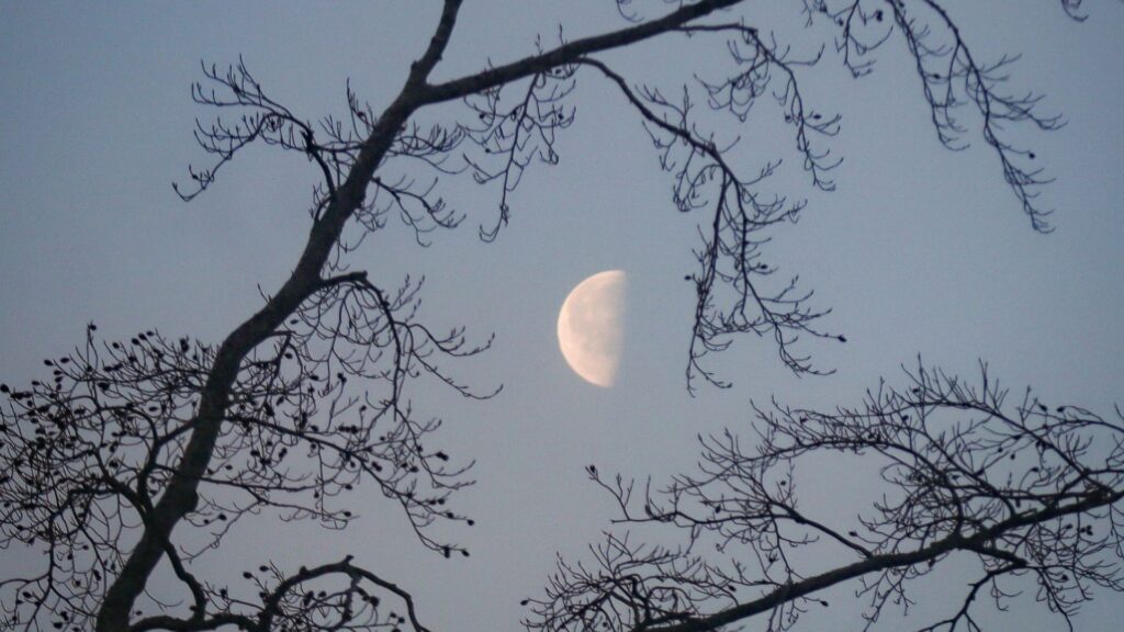 Demi-Lune. // Source : Canva Demi-Lune. // Source : Canva