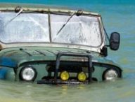 Source : shevdinov Source : shevdinov