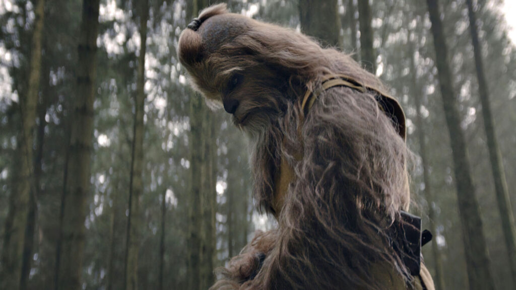 wookie Jedi wookie Jedi