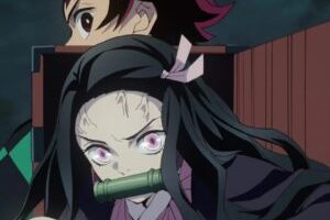 Demon Slayer // Source : ufotable